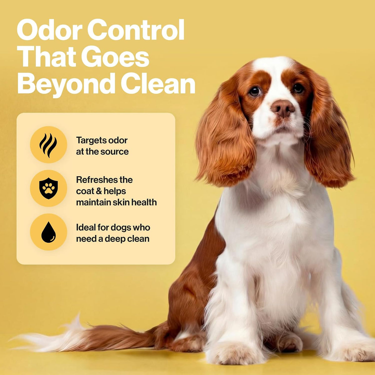 8-in-1 Refreshing Dog Shampoo – Odor Control & Fresh Coat Care