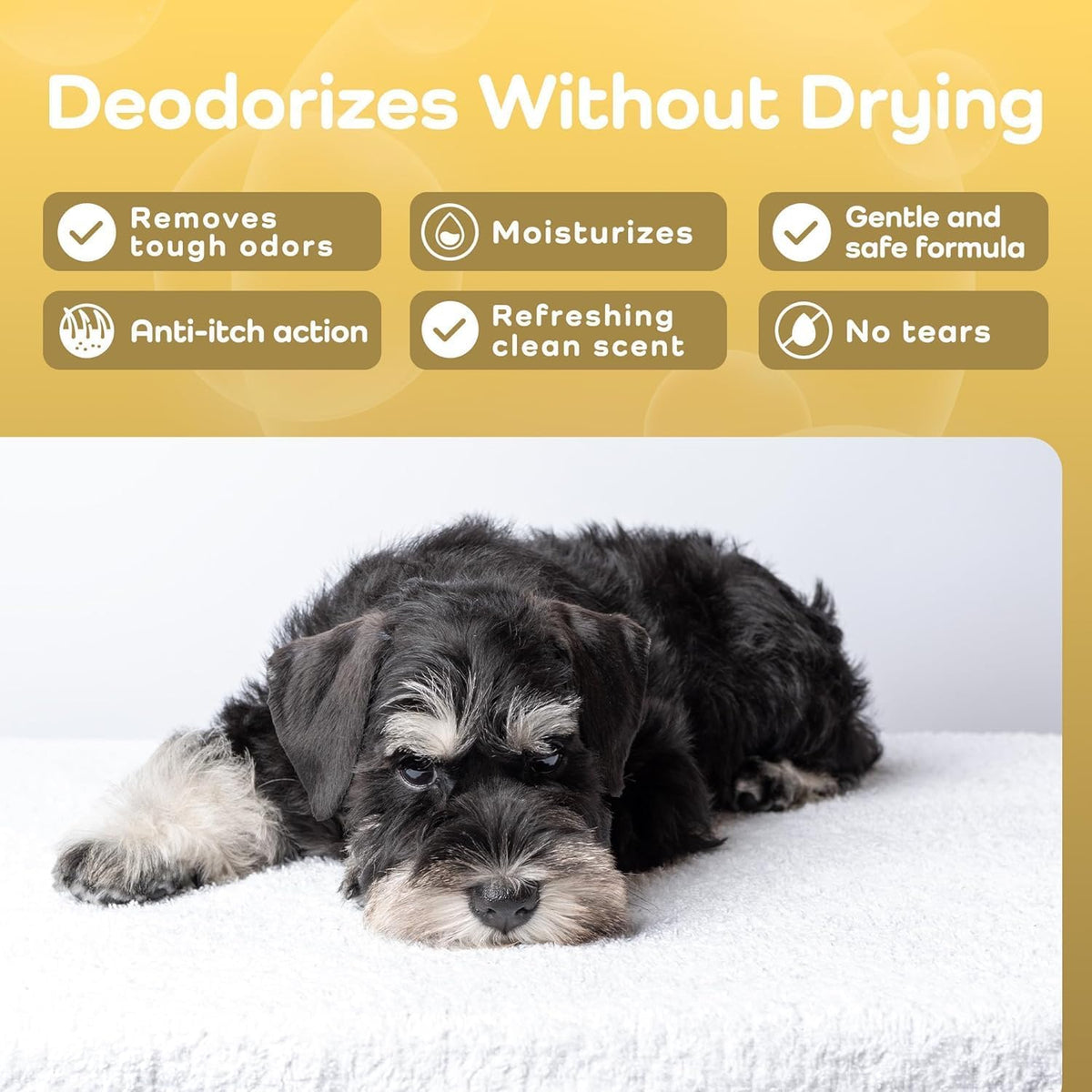 Dog lying on a white towel with product features listed above it