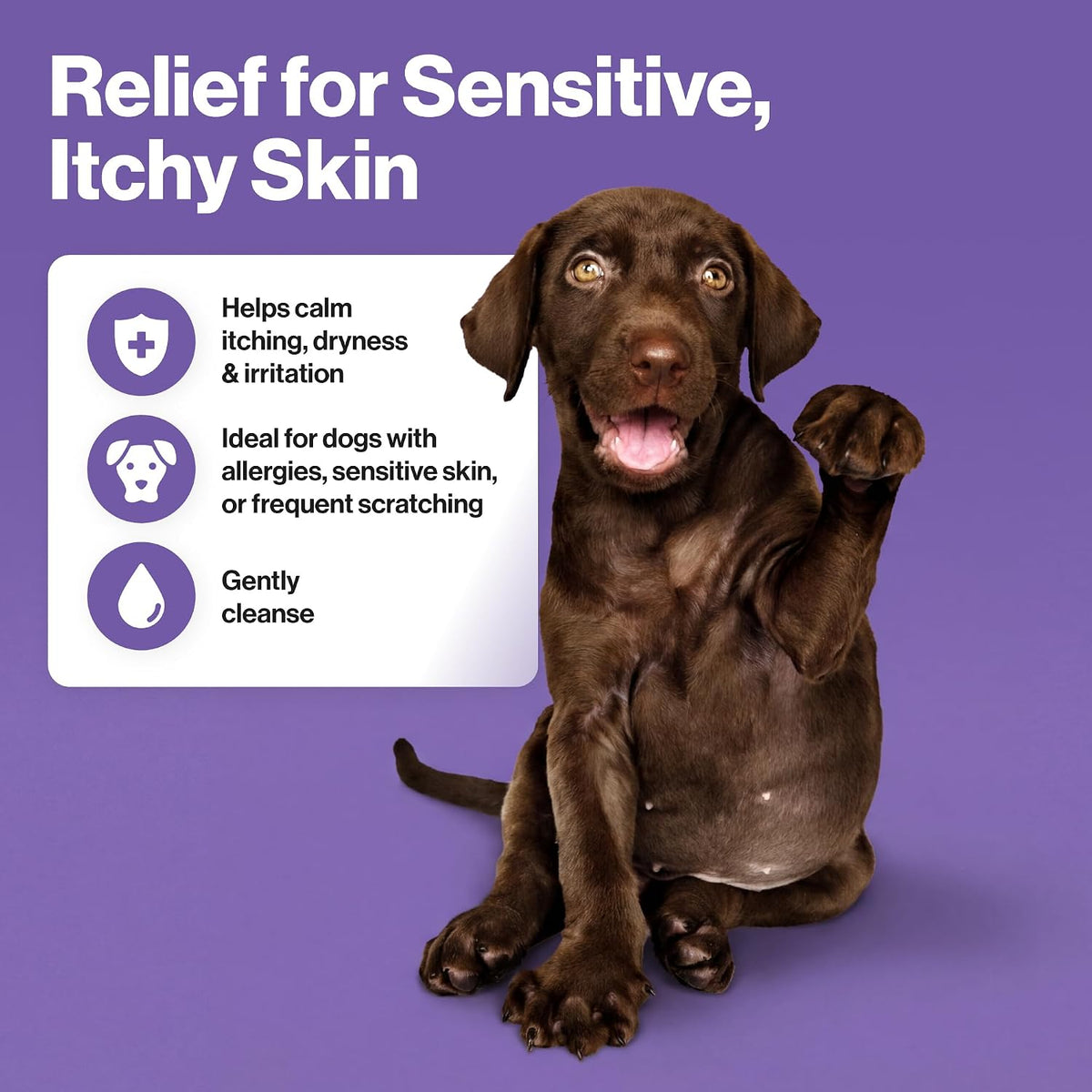 Itch Relief & Calming Dog Shampoo – Soothes Dry, Sensitive & Irritated Skin