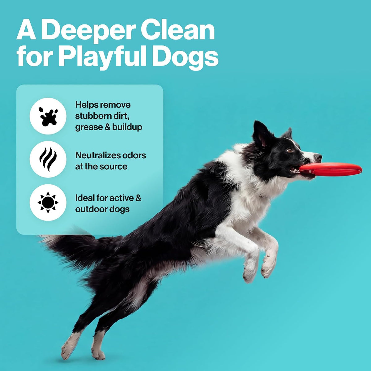 A black and white Border Collie leaps to catch a red frisbee against a bright turquoise background, with marketing text on the left reading 'A Deeper Clean for Playful Dogs' and feature callouts for removing stubborn dirt, grease & buildup, neutralizing odors, and being ideal for active & outdoor dogs.