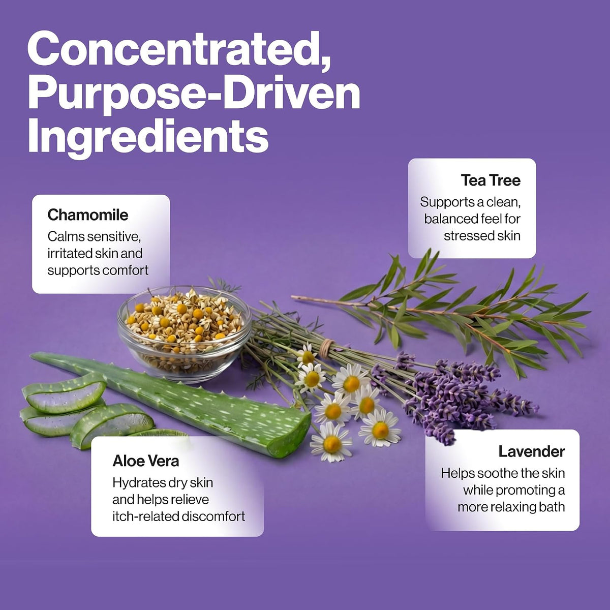 An informational graphic on a purple background titled 'Concentrated, Purpose-Driven Ingredients' showing botanical ingredients labeled Chamomile, Tea Tree, Aloe Vera, and Lavender with a small bowl of chamomile seeds.