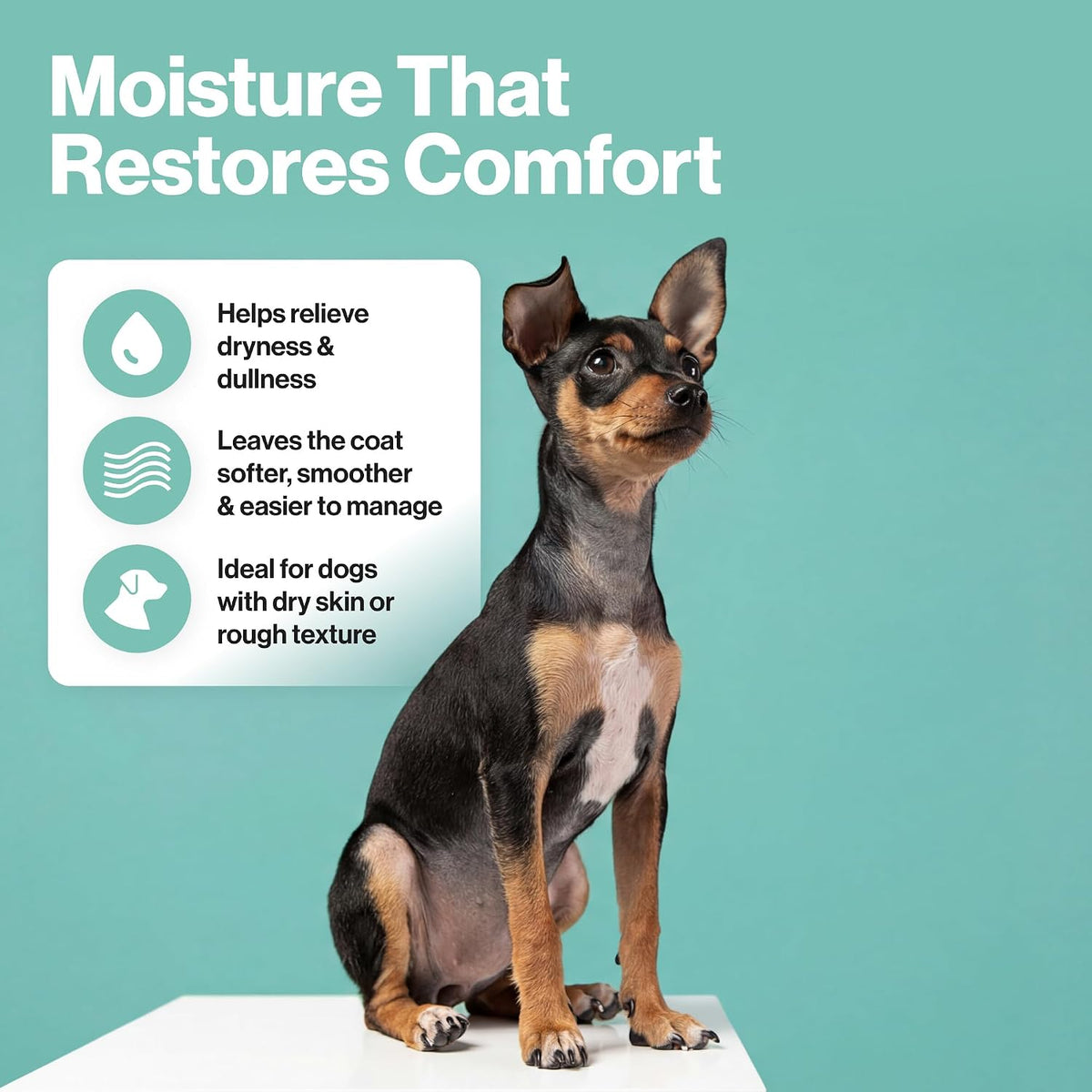 Hydration Boost Dog Shampoo – Deep Moisture for Dry Skin & Dull Coats