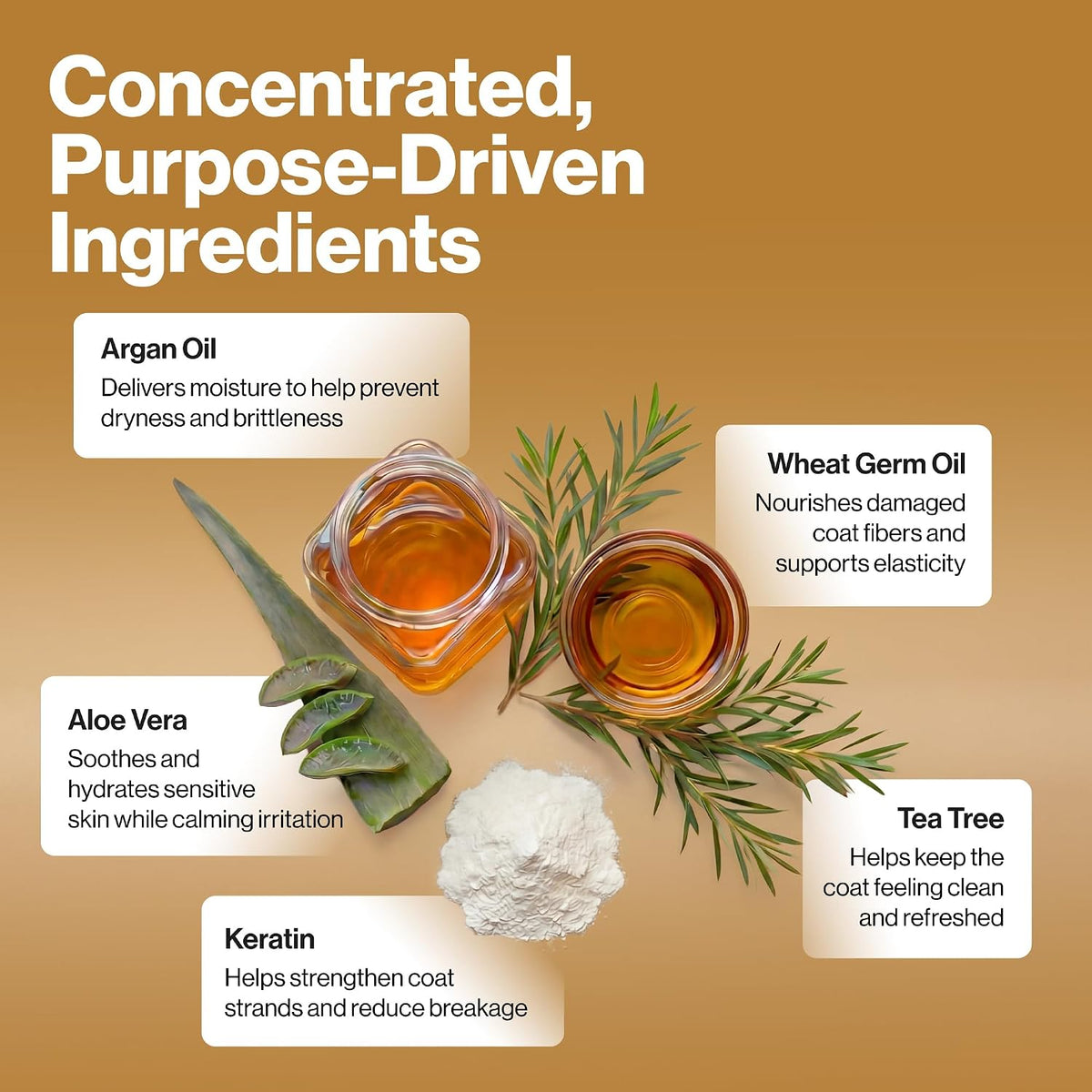 An informational graphic on a warm tan background titled 'Concentrated, Purpose-Driven Ingredients' showing several cosmetic ingredients arranged around two glass jars of golden oil, a green aloe vera leaf, a white powder pile, and rosemary sprigs with callout boxes naming each ingredient and its benefit.