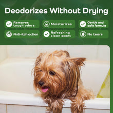 Dog in a bath with product features listed above it