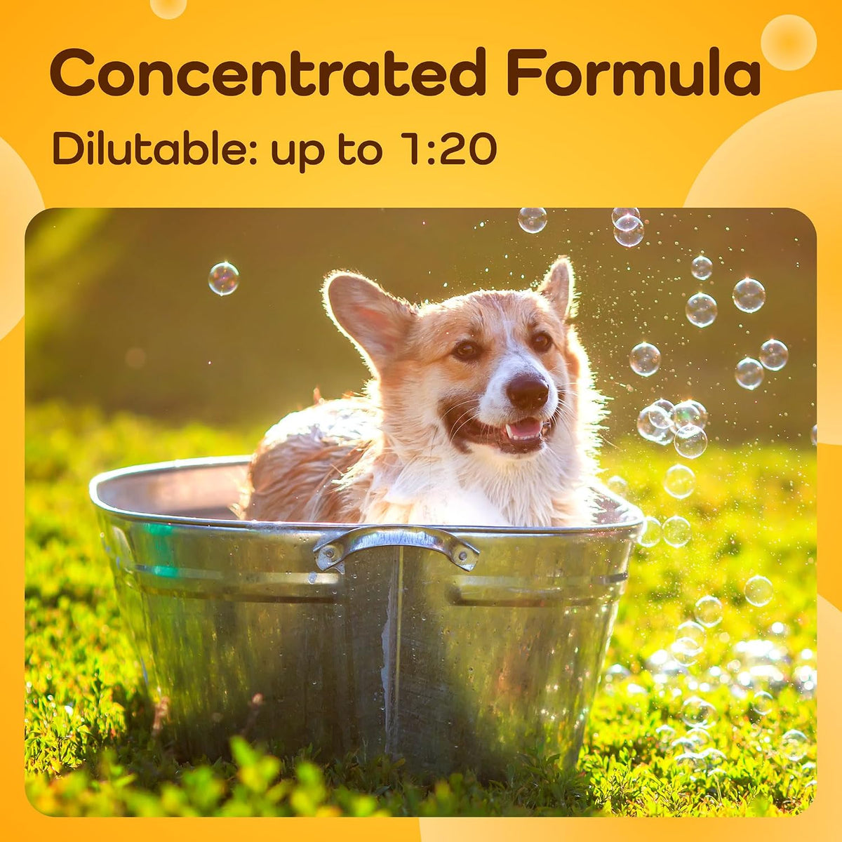 A golden-yellow promotional graphic with the text 'Concentrated Formula' and 'Dilutable: up to 1:20' above a photo of a corgi sitting in a metal tub outdoors on grass with bubbles around it.