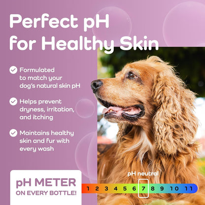 Dog with text about perfect pH for healthy skin on a purple background