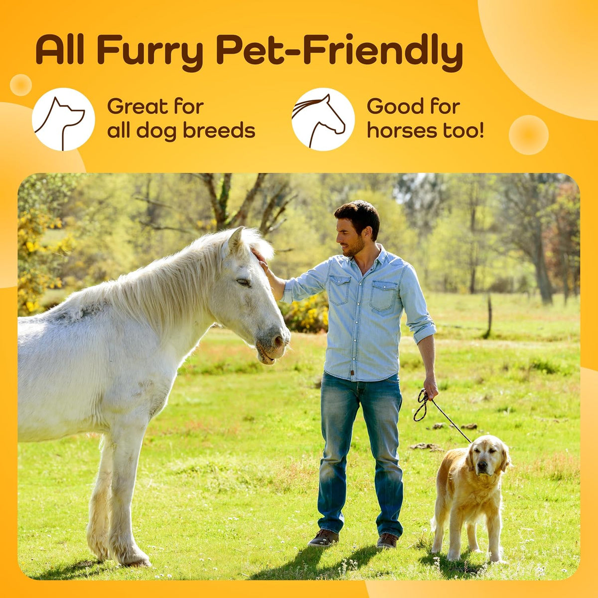 Promotional graphic with the text 'All Furry Pet-Friendly' above a photo of a man standing outdoors on a grassy field, touching a white horse while holding a leash with a golden dog.