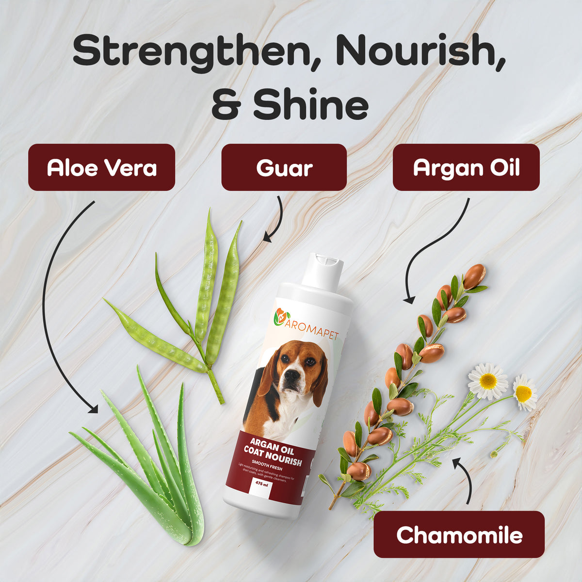 A bottle of Aromart Argan Oil Coat Mousse for dogs is displayed on a light marble background with ingredient callouts: Aloe Vera, Guar, Argan Oil, and Chamomile, each labeled with a dark red box and arrow.