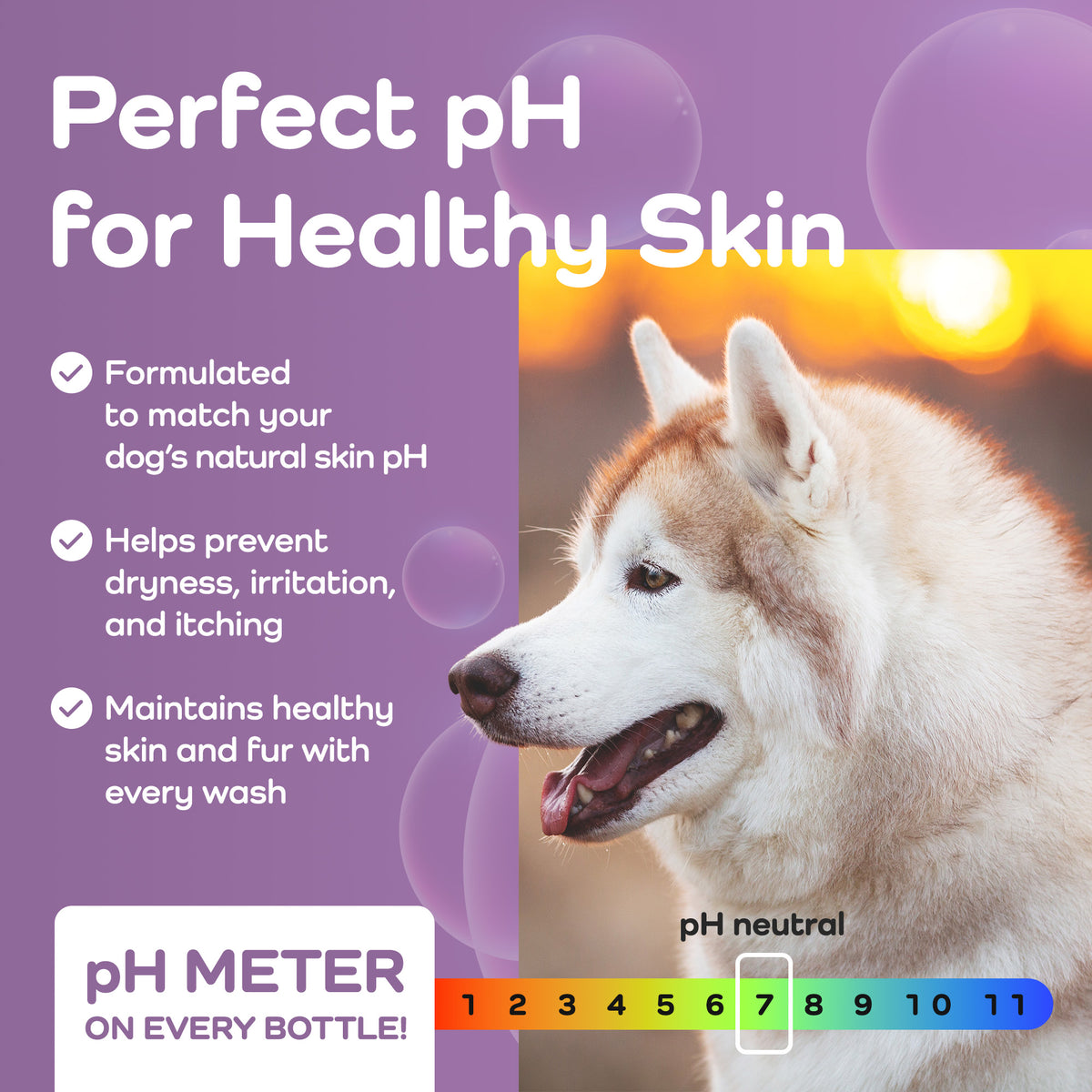 Chamomile & Aloe Soothing Dog Shampoo – Deep Hydration for Thick & Double Coats