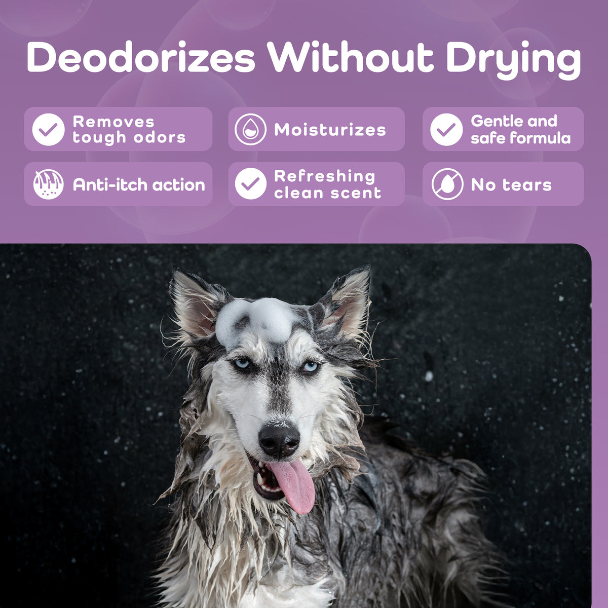 Chamomile & Aloe Soothing Dog Shampoo – Deep Hydration for Thick & Double Coats