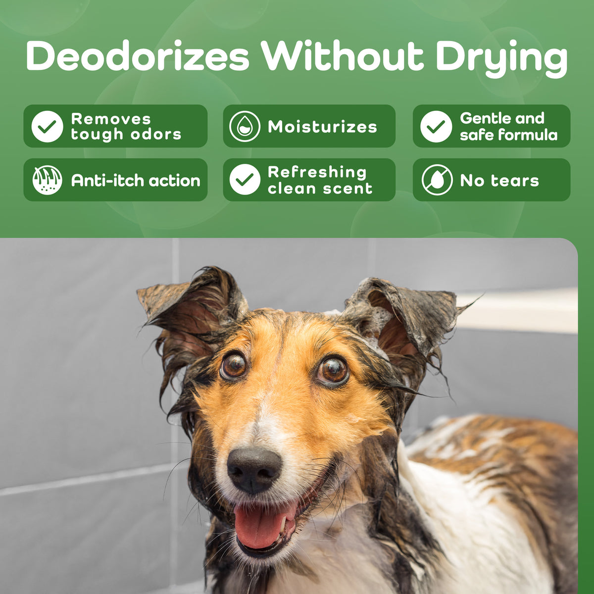 A dog shampoo or deodorizer product graphic with a wet dog on a gray tiled floor and green text blocks listing benefits like 'Deodorizes Without Drying,' 'Removes tough odors,' 'Moisturizes,' and 'Gentle and safe formula.'.