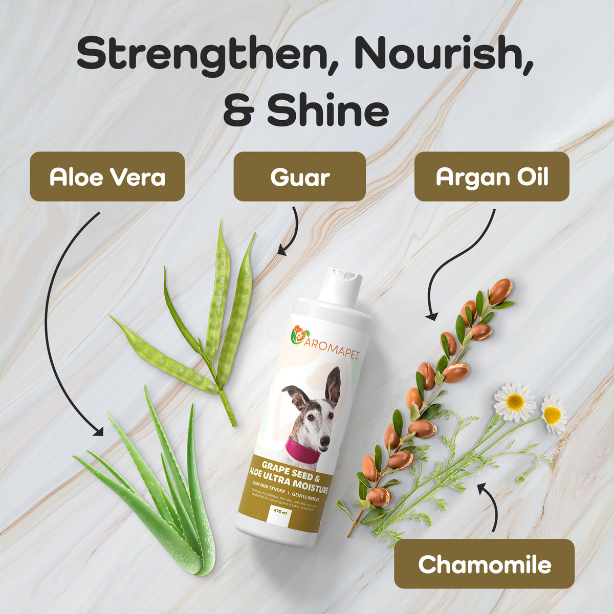 Grape-Seed-Aloe-Ultra-Moisture-Thin-Skin Dog shampoo