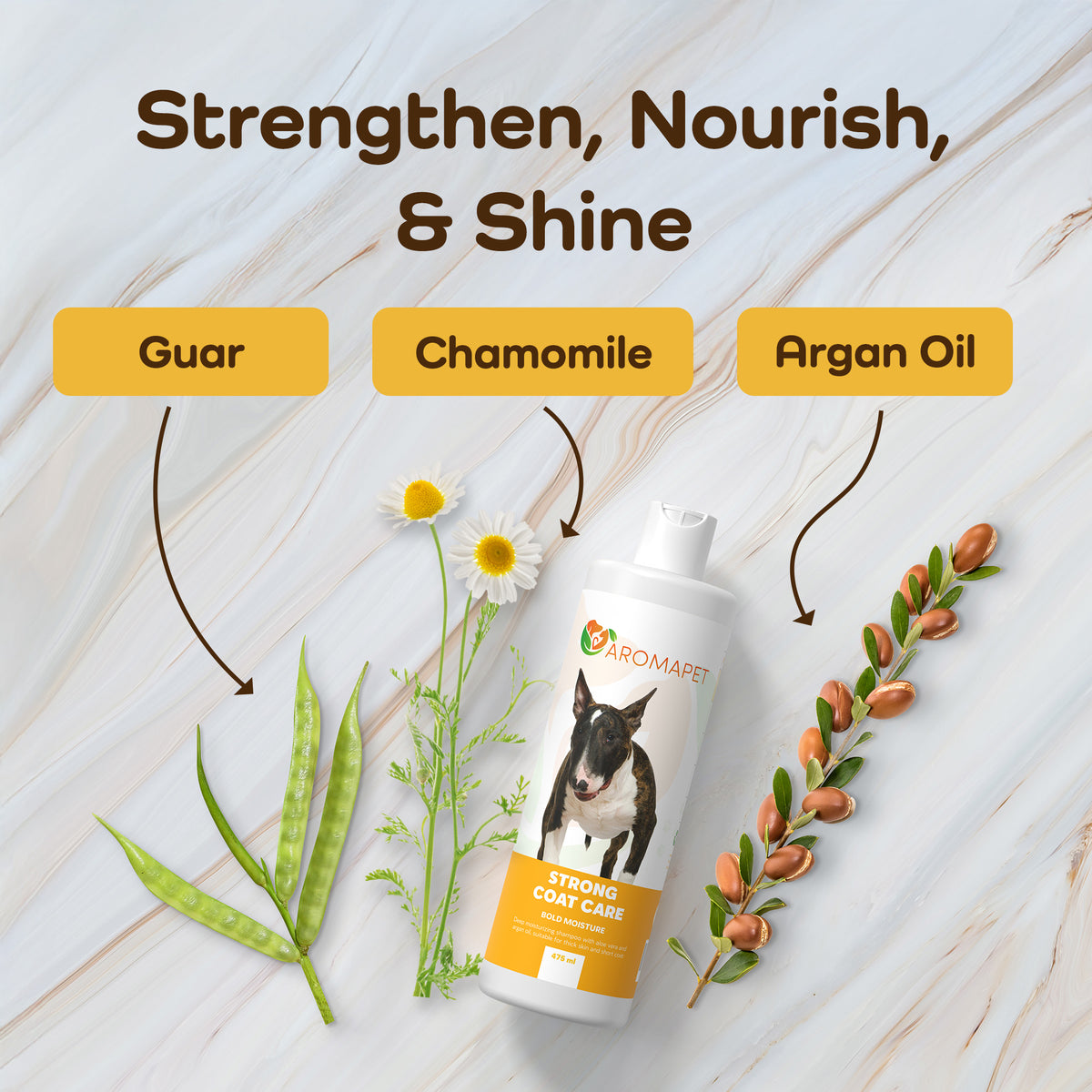 A bottle of Aromape Strong Coat Care pet shampoo is displayed on a light marble background with ingredient callouts for Guar, Chamomile, and Argan Oil, along with corresponding botanical illustrations.