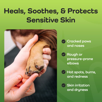 ALFA Therapeutic Paw & Nose Butter – Moisturizes, Soothes & Protects Dry, Cracked Skin